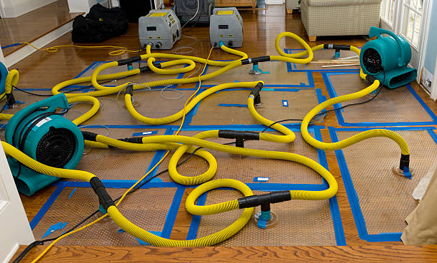 Professional Crawl Space Water Removal technician working in Burlington, MA